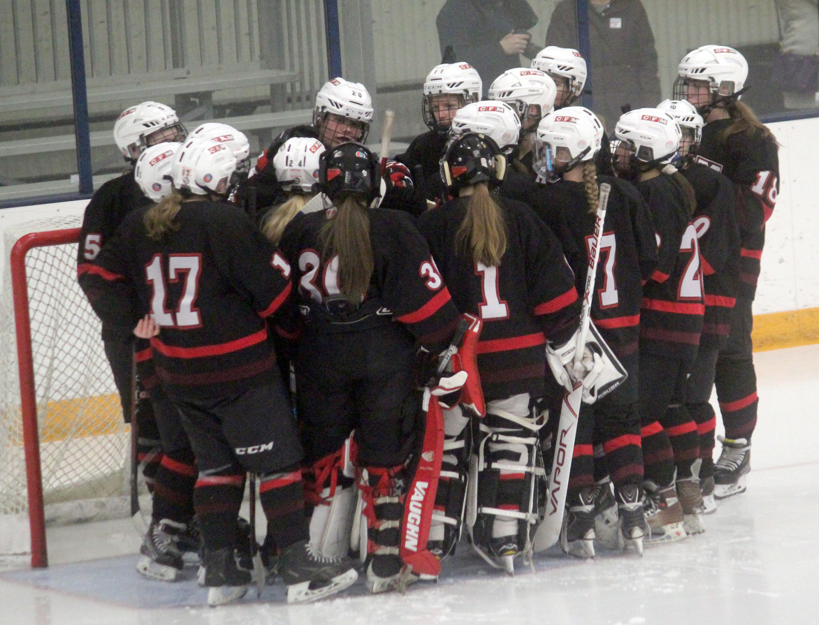 Chi-Hi/Menomonie girls hockey at Eau Claire Area 12-13-18